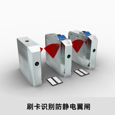 ESD翼闸双通道